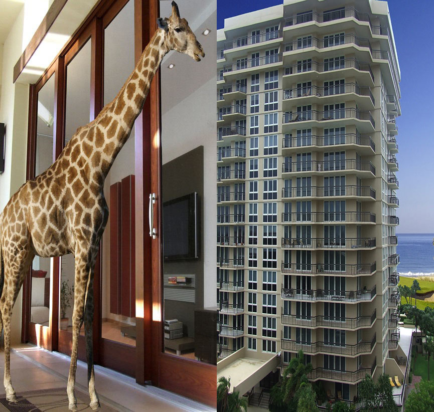 giraffe-building